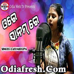 Ore Sanam Re Odia Album Song